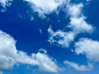 Obraz premium 青空と白い雲