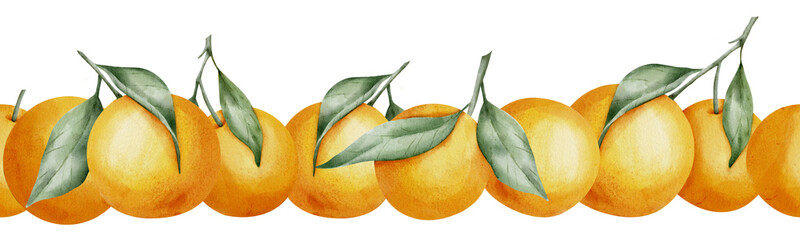Orange seamless Border. Hand drawn watercolor illustration of citrus tangerine pattern on white isolated background for frame or banner. Tropical mandarin Fruit with green leaves for product label. - obrazy, fototapety, plakaty