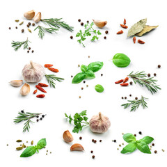 Set of fresh green herbs and spices isolated on white background, tomatoes, basil leaf, bay leaf, black pepper, rosemary, cardamom, cilantro, garlic, top view