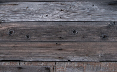 Fototapeta premium wood