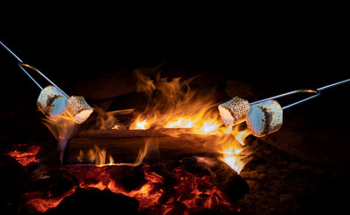 Copy space above marshmallow roasting over a campfire