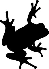 silhouette of a deer