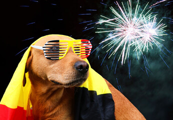 Dog under belgian flag wearing funny glasses with fireworks in background. Concept Belgium: National holiday July 21, football...