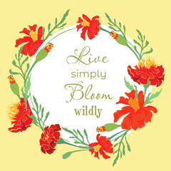 Vector garden illustration with the delicate herbs