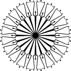 Obraz premium Circular mandala pattern. Decorative doodle ornament in ethnic style.