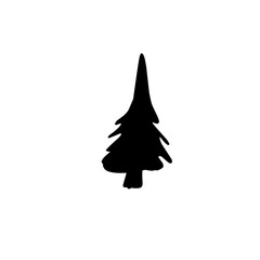 Fototapeta premium Fir Tree Silhouette