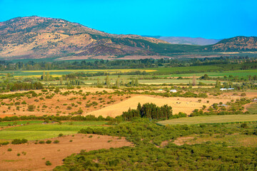 Fototapeta premium Crop fields and farms at Region del Maule in southern Chile