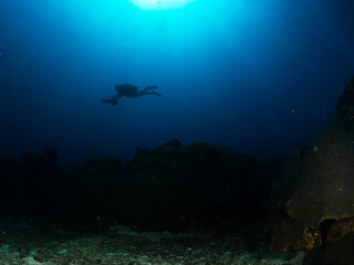 Fototapeta premium scuba diver and reef, Flower Garden Banks National Marine Sanctuary, East Bank, 2023