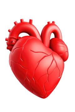 Stylized human heart on transparent background. Medical png element.