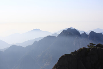 landscape in the morning