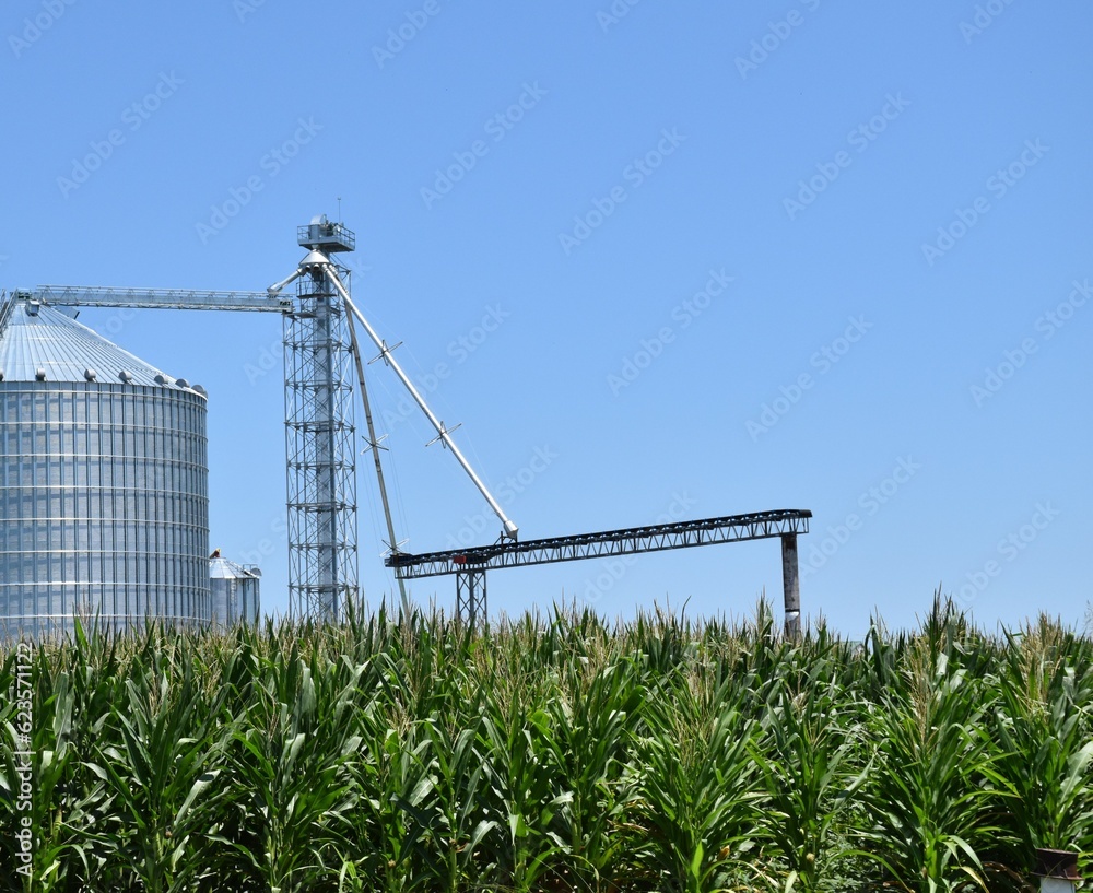 Wall mural Grain Bin and Tower in a Corn Field