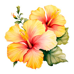 Arrangement from yellow Hibiscus flowers and tropical plants, isolated transparent background, Generative AI