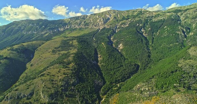 total aerial view of Monte Morrone and a grove of yellow colored brooms. Maiella National Park, Abruzzo, Italy, Europe
