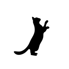 Cat silhouette. Vector illustration