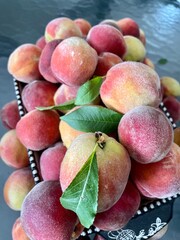 Freshly picked peaches and leaves