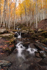 waterfall in autumn forest