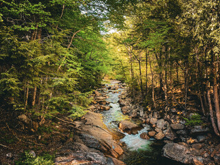River at  Flume Gorge, New Hampshire, USA.
