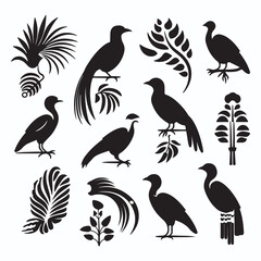 Quetzal silhouettes and icons. Black flat color simple elegant Quetzal animal vector and illustration.