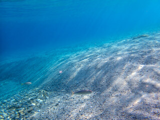 Vista subacquea dello Stretto di Messina