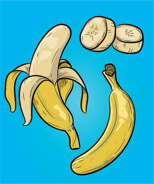 Bananas Vector