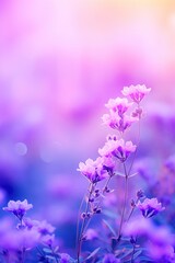 Fototapeta na wymiar Lavender flower background. Illustration AI Generative.