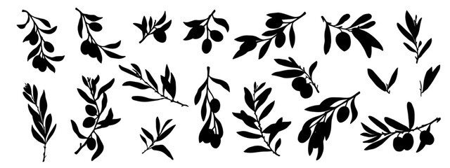 Set of botanical silhouettes of olive tree branches with berries. Vector graphics.