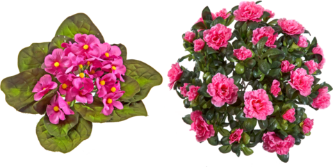 Artificial flower bouquets with transparent background