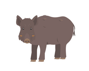Wild boar or pig. Brown Boar forest animal. Flat vector icon illustration isolated on white background.