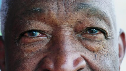 Macro tight close-up of an African American senior man with blue eyes staring at camera. Portrait face of a black older male person with wrinkles depicting old age and wisdom - Powered by Adobe