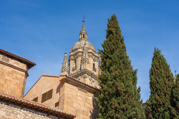 Fototapeta na wymiar Salamanca New Cathedral Tower - Salamanca, Spain