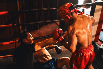 Boxing referee intervene, halting the fight to check fallen competitor. Intense and fierce boxing...