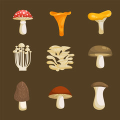 mushroom illustration pack