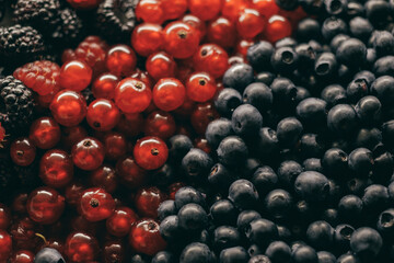 Close-up of red and black raspberries, blueberries and red currants berries. Selective focus, macro shot.