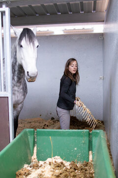 Horses paddock cleaning hygiene, excrement for eco-friendly fertilizer. Middle-aged Hispanic woman