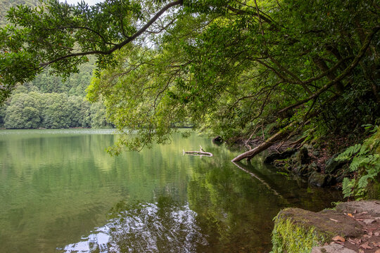Scenic view of the lake with trees and reflections in the water in Congro Lake "Lagoa do Congro" in the island of Sao Miguel in the Azores.