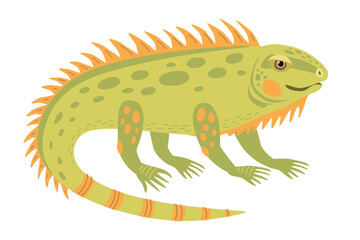 Cartoon iguana. Cute green lizard. Funny reptile. Raster illustration on a transparent background.