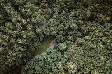 close up of broccoli