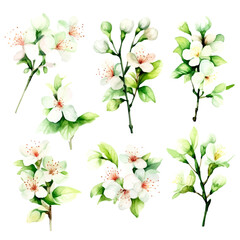 green cherry blossom flowers set