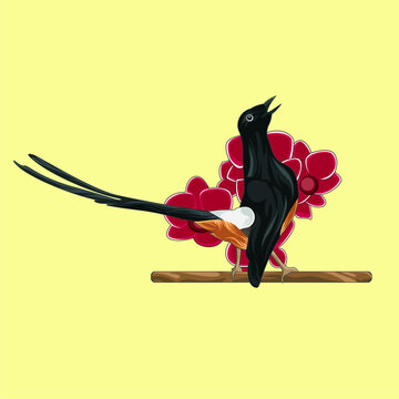 Illustration vector graphic of murai batu bird with Orchid flower background.