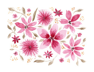 Delicate watercolor pink and brown floral composition with daisy flowers. Colorful tender painting floral bouquet for invitation, wedding or greeting cards design, sticker, banner decor