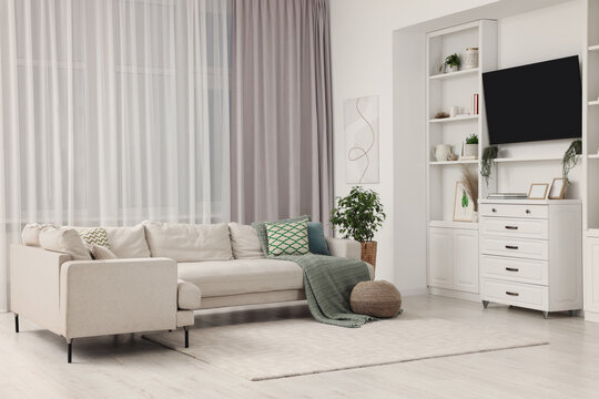 Stylish living room interior with comfortable sofa, TV set and houseplant