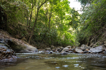 Naklejka na ściany i meble Minca River, Surrounded by Lush Sub Tropical Vegetation