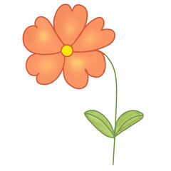 orange flower 