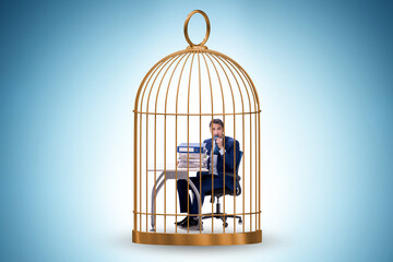 Fototapeta na wymiar Businessman caught in the cage