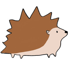 hedgehog on a white background