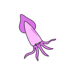 Squid