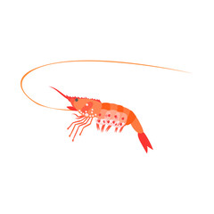 ボタンエビ。フラットなベクターイラスト。
Botan Shrimp. Flat designed vector illustration.