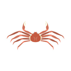 ズワイガニ（ホンズワイガニ）。フラットなベクターイラスト。
Snow crab (opilio crab, opies). Flat designed vector illustration.