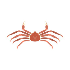Obraz premium ズワイガニ（ホンズワイガニ）。フラットなベクターイラスト。 Snow crab (opilio crab, opies). Flat designed vector illustration.