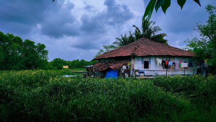 Beautiful house behind the grass in the village in rainy season.
